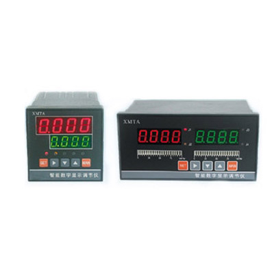 Intelligent digital display regulator