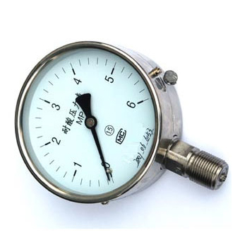 Acid-proof pressure gauge