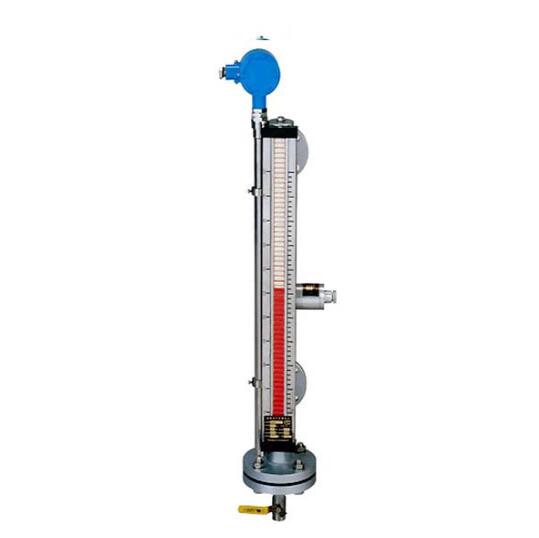 Top mounted magnetic tilting level gauge